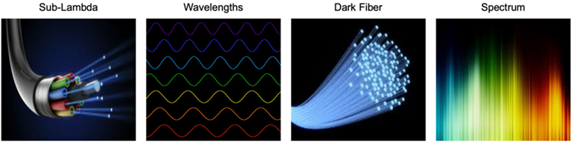 Images of different submarine cable network services